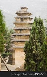 Pagodas in a forest, Pagoda Forest, Shaolin Monastery, Henan Province, China