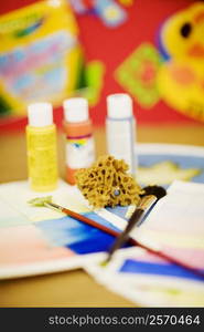 Paint brushes with sponge and color bottles