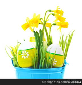 Painted Easter eggs with yellow narcissus flowers, festive traditional food for spring Christian holiday, colorful still life, decoration isolated over white background