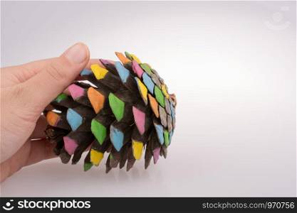 Painted pine cone in hand on a white background