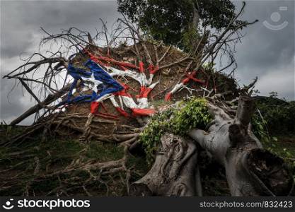 Painted Puerto Rico state flag on uprooted tree from Hurricane Maria in San Juan, Puerto Rico.. Fallen tree from Hurricane Maria in San Juan