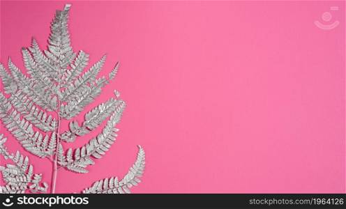 painted silver fern branch on pink background, background for designer, copy space