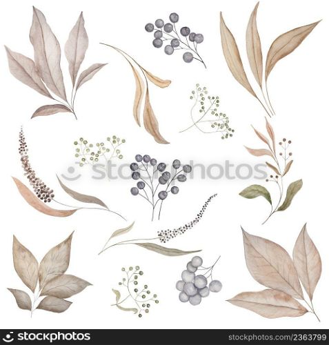 Painted watercolor delicate and romantic leaves and berries. Pastel floral clip art perfect for wedding postcard making. Diy project. Closeup, white background. Painted watercolor delicate and romantic leaves and berries