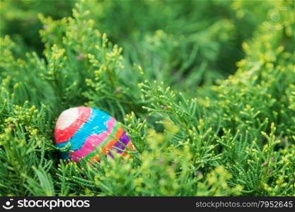 painted wooden egg in conifer branches