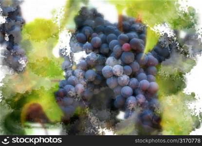 Painterly Clusters of Grapes With Border of Leaves