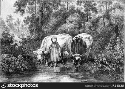 Painting Exhibition of 1857, Cows at the watering hole, vintage engraved illustration. Magasin Pittoresque 1857.