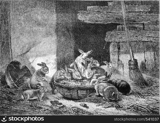 Painting Exhibition of 1857. Lunch rabbits, vintage engraved illustration. Magasin Pittoresque 1857.
