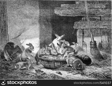 Painting Exhibition of 1857. Lunch rabbits, vintage engraved illustration. Magasin Pittoresque 1857.
