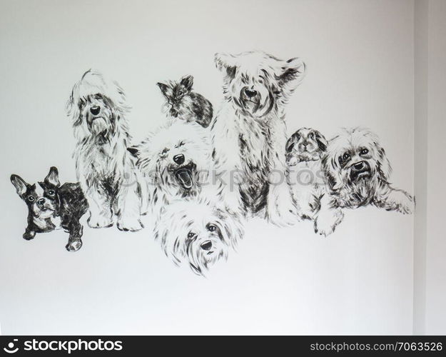 Painting group of dogs with rabbit, black and white acrylic on gray cement wall background.for decoration or the memorial of pet with owner.