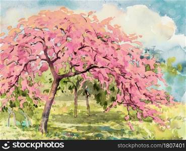 Paintings flowers- Watercolor landscape of cherry blossom and meadow. Hand painted illustration on paper sky background. Beautiful nature spring summery season Eco-friendly