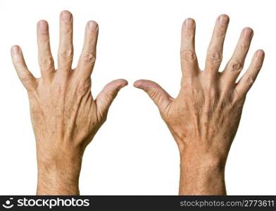 Pair of caucasian hands of senior middle aged male isolated against white