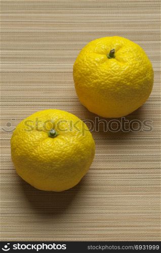 Pair of fresh yellow Japanese Yuzu fruit
