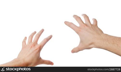 Pair of isolated hands