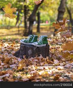 pair of old green gym shoes stand on a stump in a park on an autumn afternoon