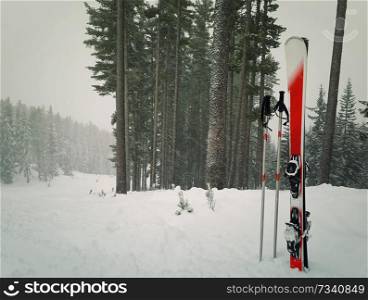 Pair of red ski equipment in snow surrounded by fir tree forest near slope. Winter mountains resort, holiday vacation trip and skiing sport concept.