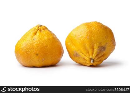 Pair of whole ugli fruit isolated on white background
