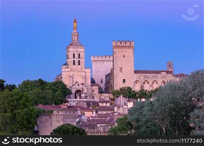 Palace of the Popes, once fortress and palace, one of the largest and most important medieval Gothic buildings in Europe, at sunset, Avignon, France. Palace of the Popes, Avignon, France