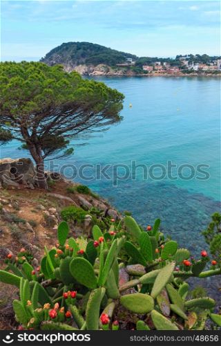 Palamos coast view with blossoming cactus in front. Summer morning landscape, Girona, Costa Brava, Spain.