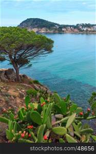 Palamos coast view with blossoming cactus in front. Summer morning landscape, Girona, Costa Brava, Spain.
