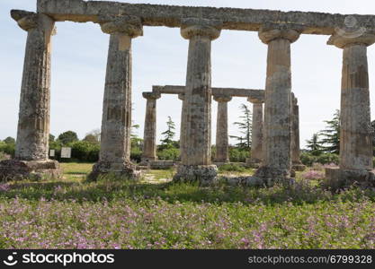 Palatine Tables, Hera Sanctuary in Metaponto, Basilicata, Italy