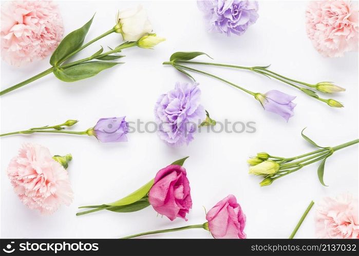 pale bright coloured flower composition