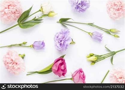 pale bright coloured flower composition