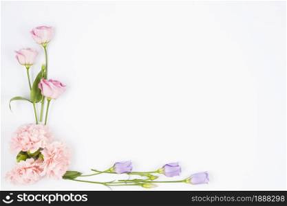 pale flowers framing corner . Resolution and high quality beautiful photo. pale flowers framing corner . High quality and resolution beautiful photo concept