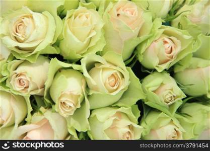 Pale pink roses in a bridal arrangement