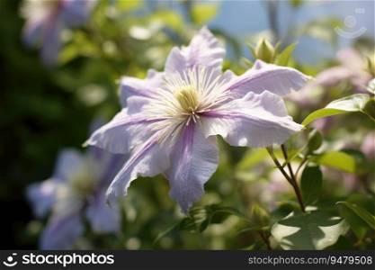 Pale purple clematis flower blooming in a garden. Generative AI