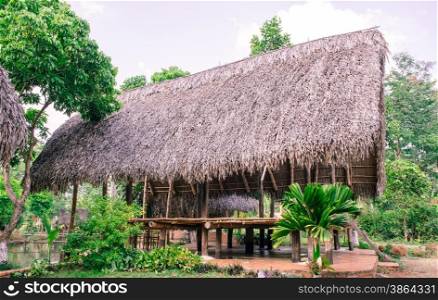 paleolithic thatched huts