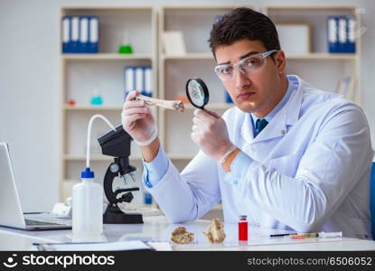 Paleontologist looking at extinct animal bone