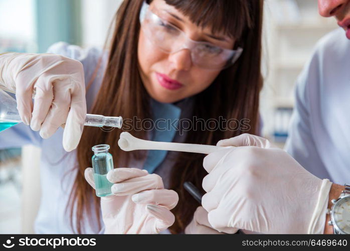 Paleontologists looking at bones of extinct animals