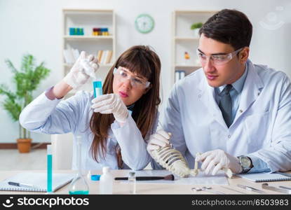 Paleontologists looking at bones of extinct animals