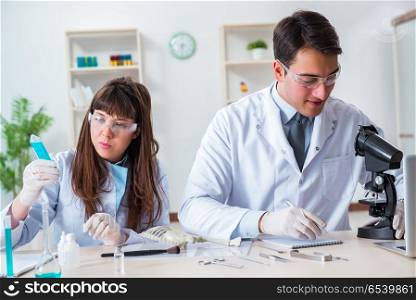 Paleontologists looking at bones of extinct animals