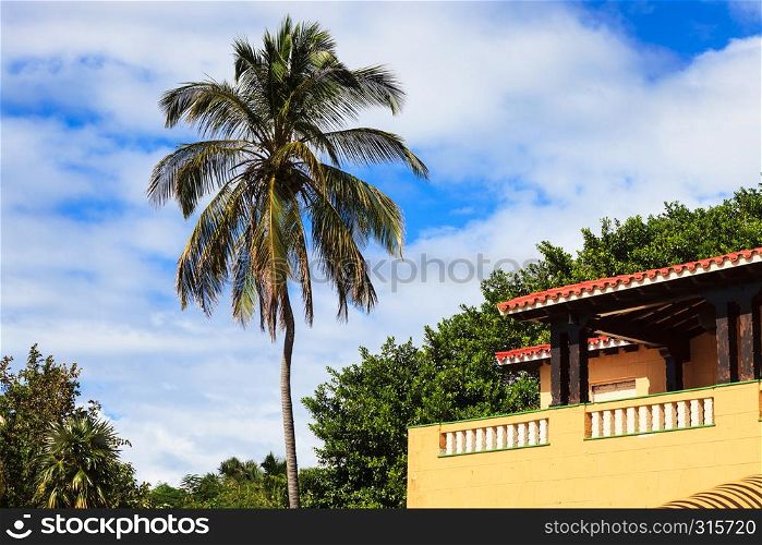 palm and beautiful house on a sunny day