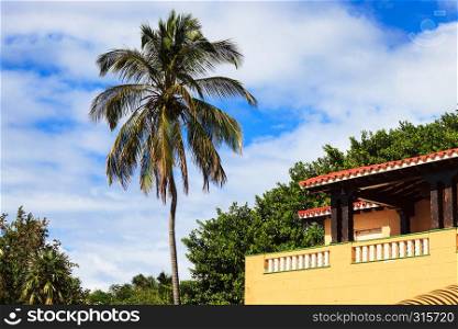 palm and beautiful house on a sunny day