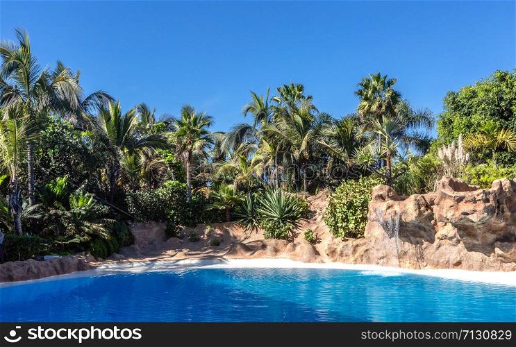 Palm and tropical beach , tropical background