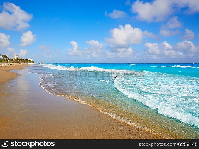 Palm Beach beach coastline in Florida USA