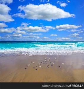 Palm Beach beach coastline in Florida USA