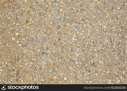 Palm Beach shells concrete soil along the Ocean Blvd in Florida