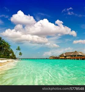 palm beach. tropical island landscape. turquoise water and cloudy blue sky