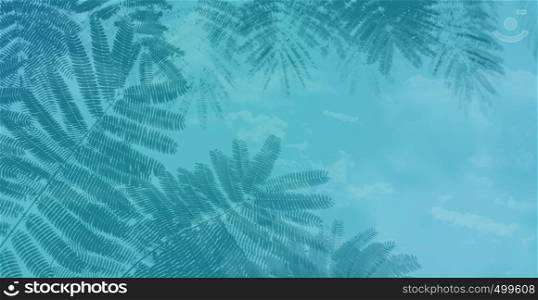 palm branch in the blue sky background