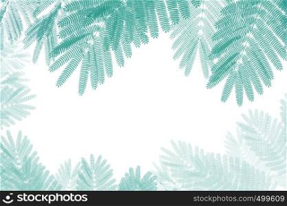 palm branch in the white sky background