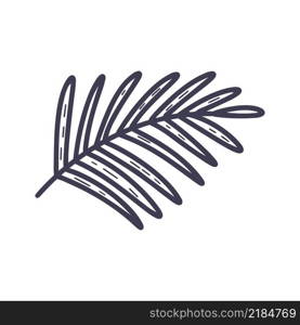 Palm branch isolated doodle style. Exotic leaf hand drawn. Twig silhouette vector illustration. Palm branch isolated doodle style