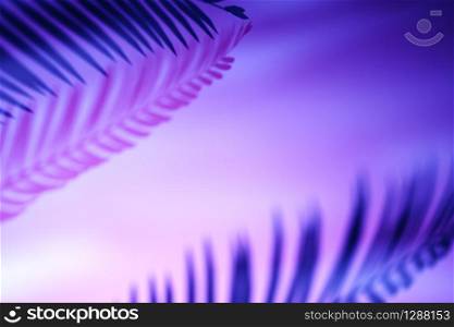Palm fronds casting shadows on a purple vibrant through magenta gradient background with copy space for design template. Border arrangement