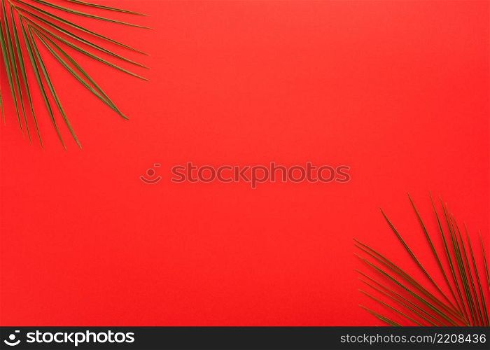 palm leaves corner bright red backdrop