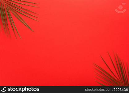 palm leaves corner bright red backdrop
