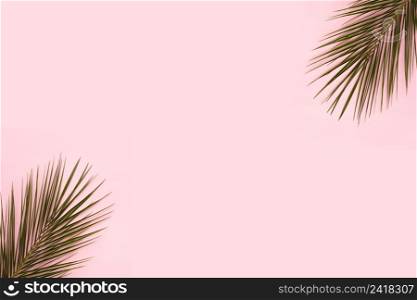palm leaves corner pink backdrop