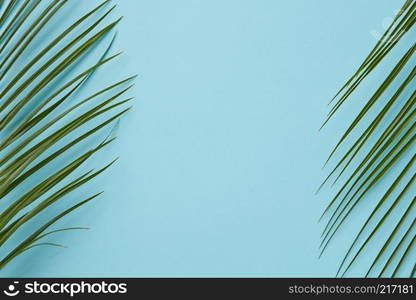 Palm leaves decorating the borders of a blue background with copy space for writing your ideas, emotions flat lay. Palm leaves on blue background