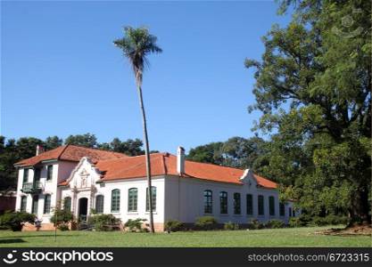 Palm tree and building of museum in monastery San Ignacio, Argentina